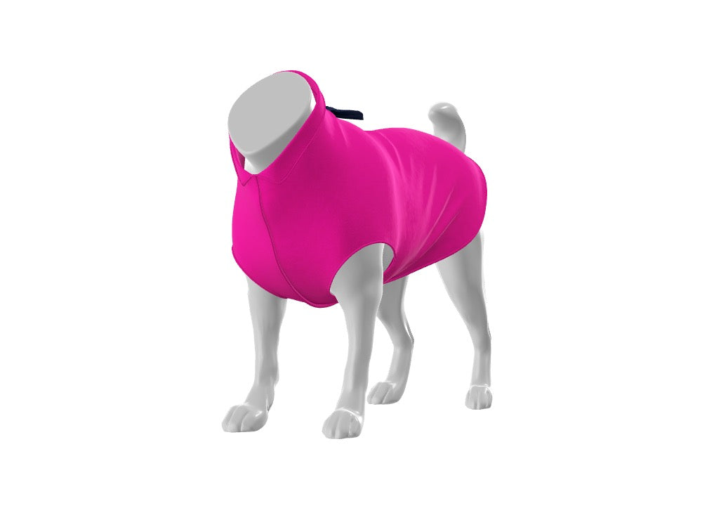 GoldPaw - Custom Design