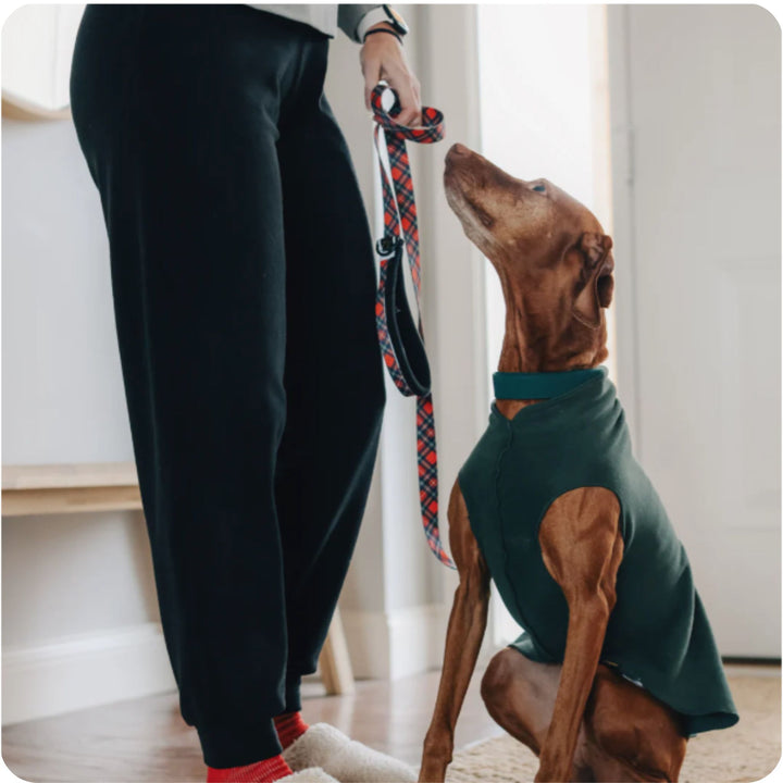 Fleece Joggers