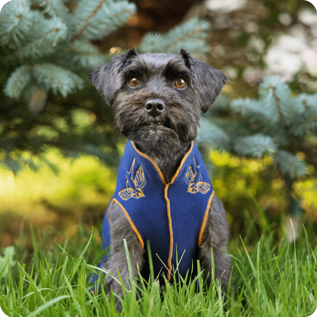 Limited Edition Fleece