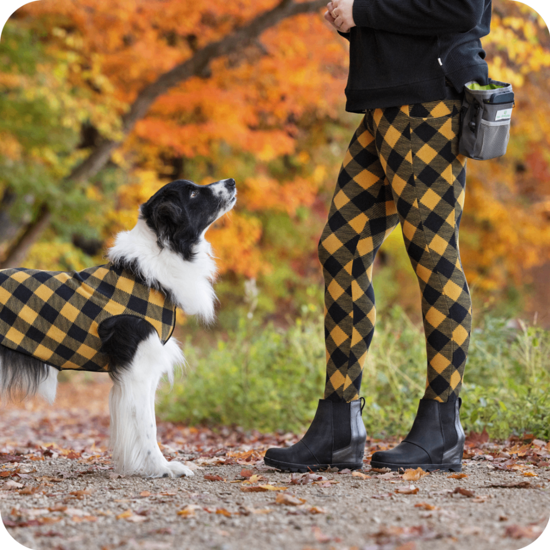 Human Leggings