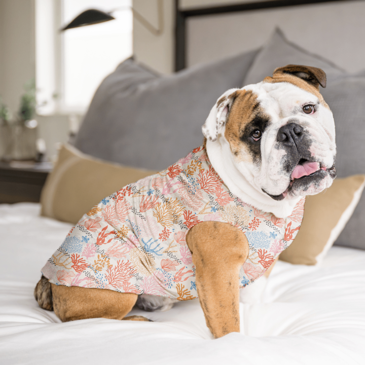 An English Bulldog sits on a bed wearing a multicolored Coral pattern Sun Tee in a bedroom