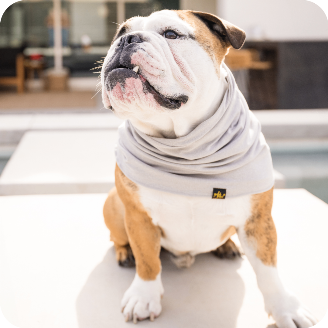 Sun Shield Snood