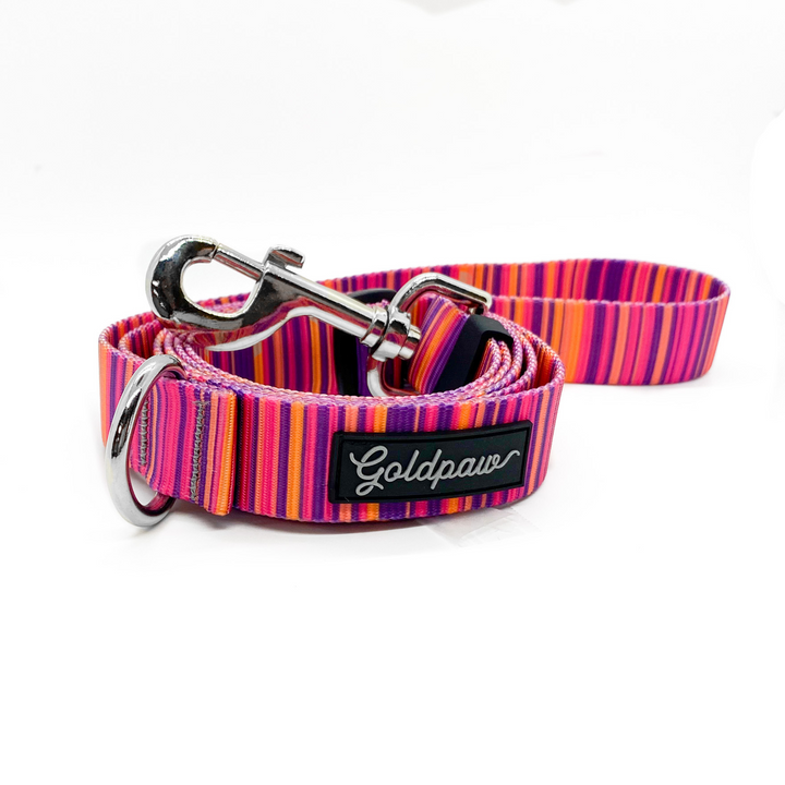 SALE - Adjustable Length Leash