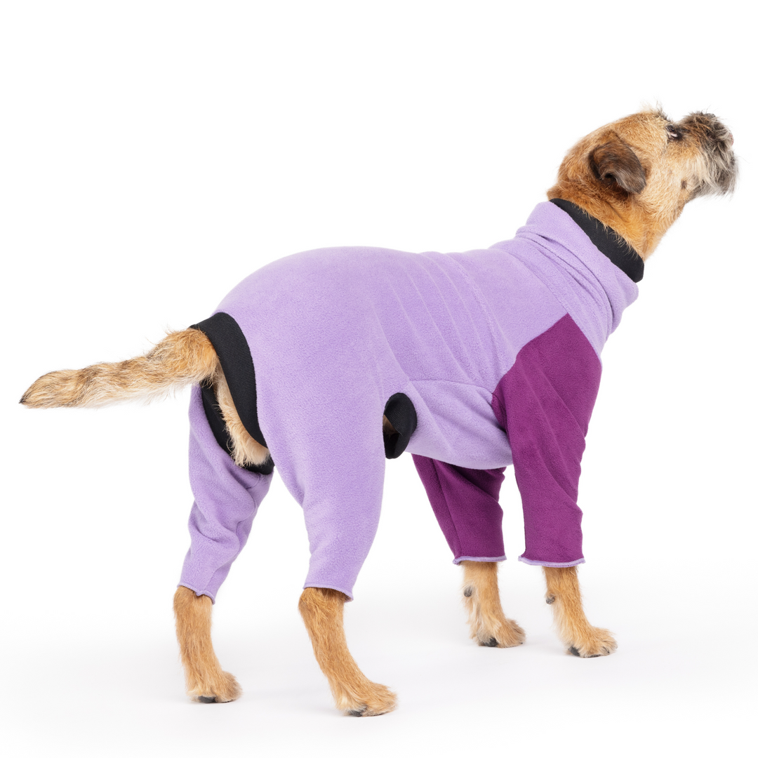 SALE - Goldpaw Onesie