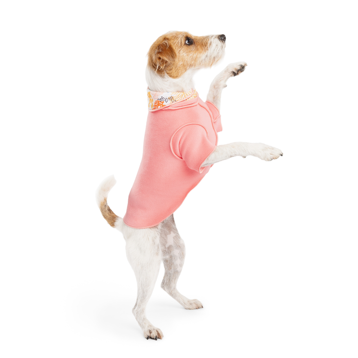 Resort Pullover