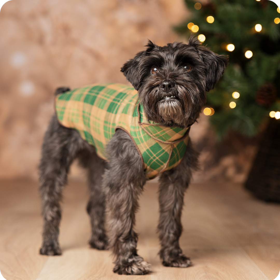 Limited Edition Stretch Flannel