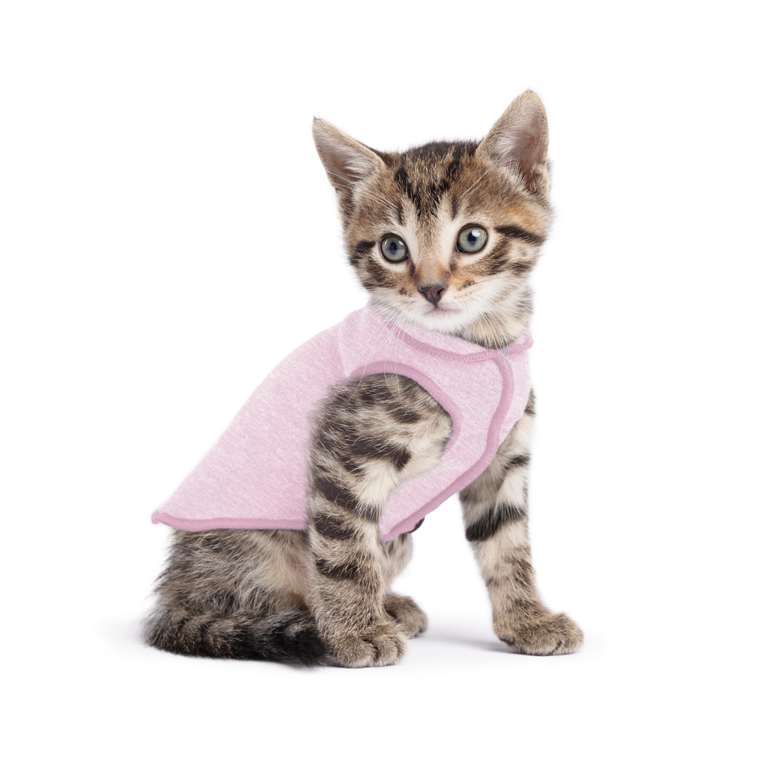 A kitten wearing a pink sun shield tee