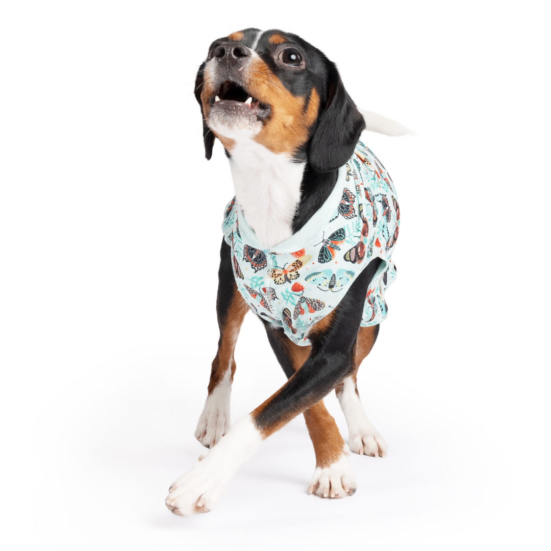 A dog walks wearing a multicolored patterned Sun Tee in front of a white background