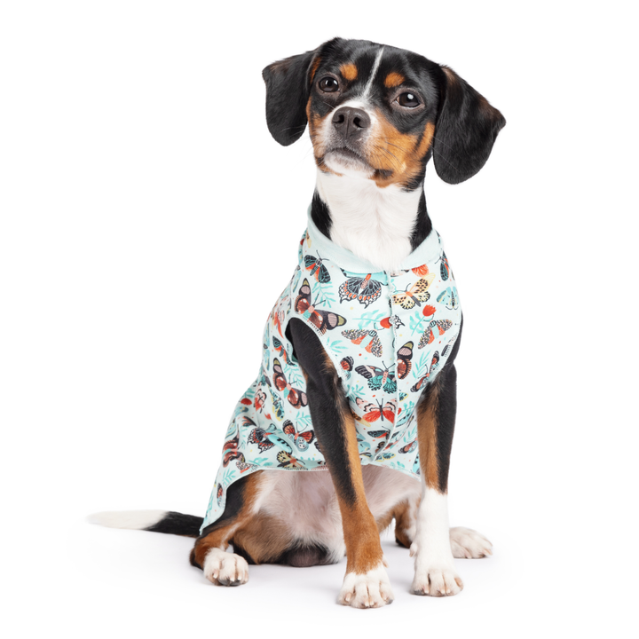 A dog sits wearing a multicolored patterned Sun Tee in front of a white background
