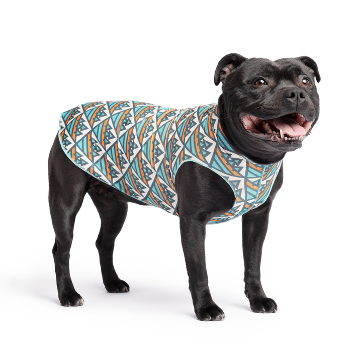 A Staffordshire Bull Terrier stands wearing a multicolored pattern Sun Tee in front of a white background