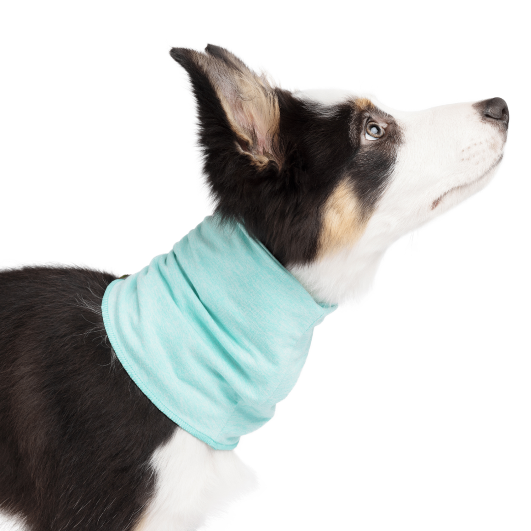 Sun Shield Snood