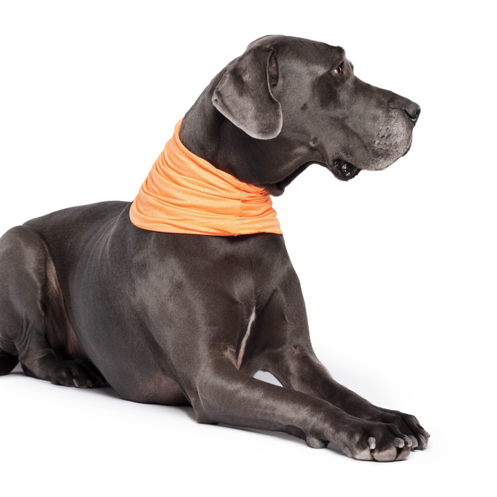 Sale - Sun Shield Snood