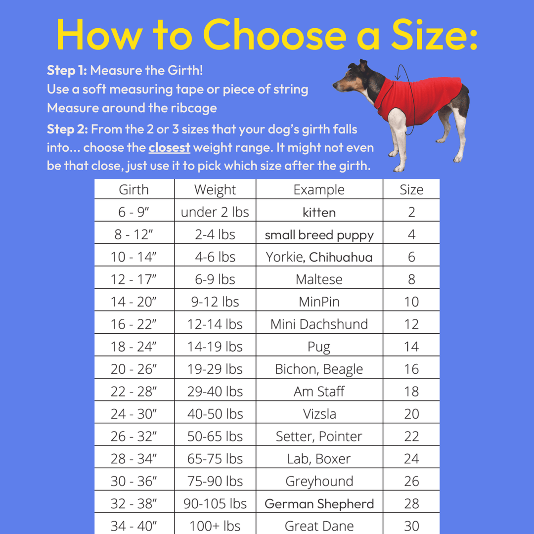 Chart for choosing a dog coat size with measurements and examples on a blue background