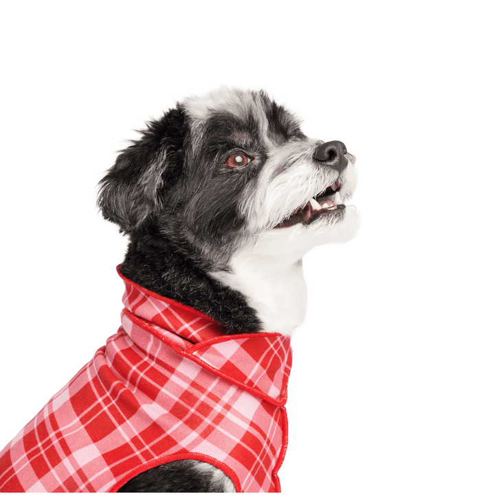 Limited Edition Stretch Flannel - Valentine Plaid