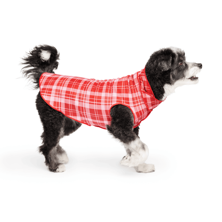 Limited Edition Stretch Flannel - Valentine Plaid