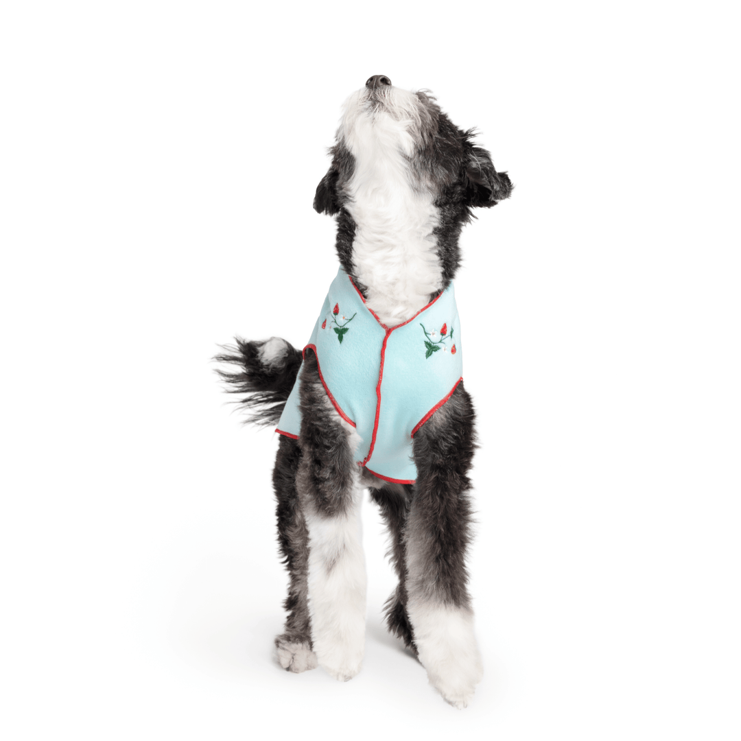 Limited Edition Fleece Strawberries