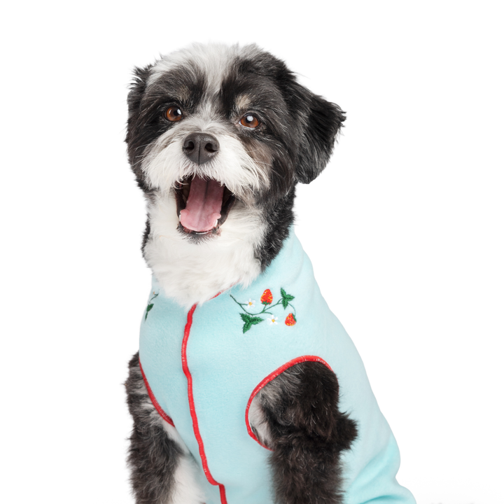 Limited Edition Fleece Strawberries