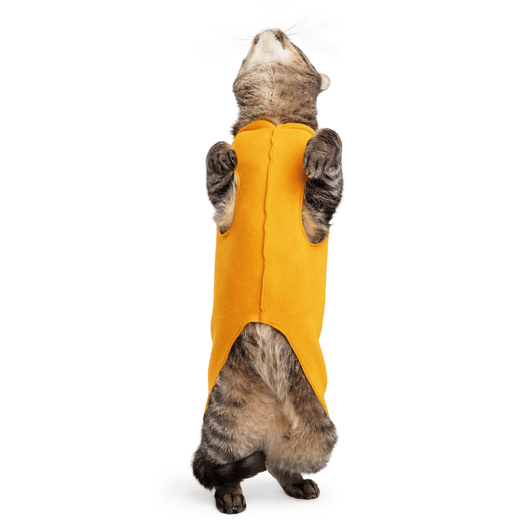 Cat Fleece