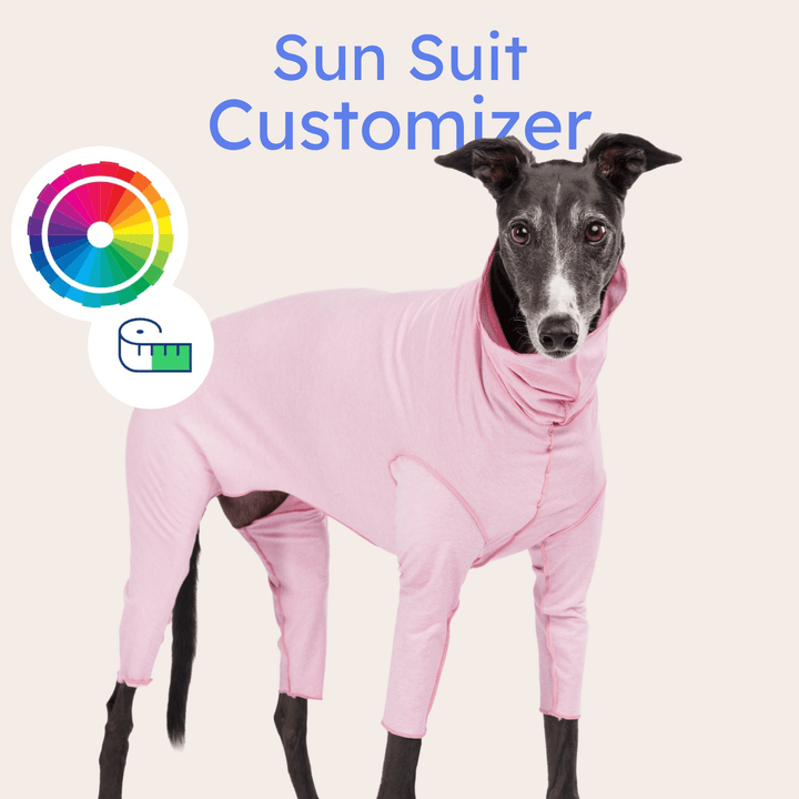 A Greyhound wears a pink lemonade sun suit in front of customization offerings
