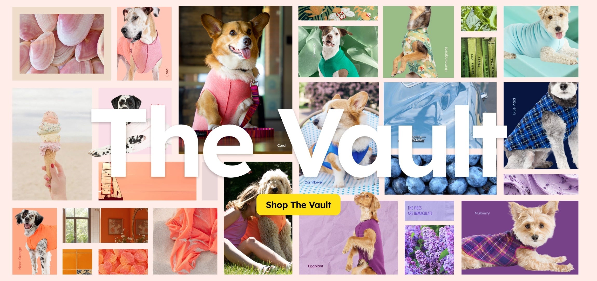 custom-slideshow-image-desktop-block_fqaULQ