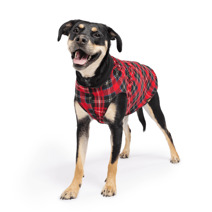 A dog wearing a reversible red plaid and black fleece coat.