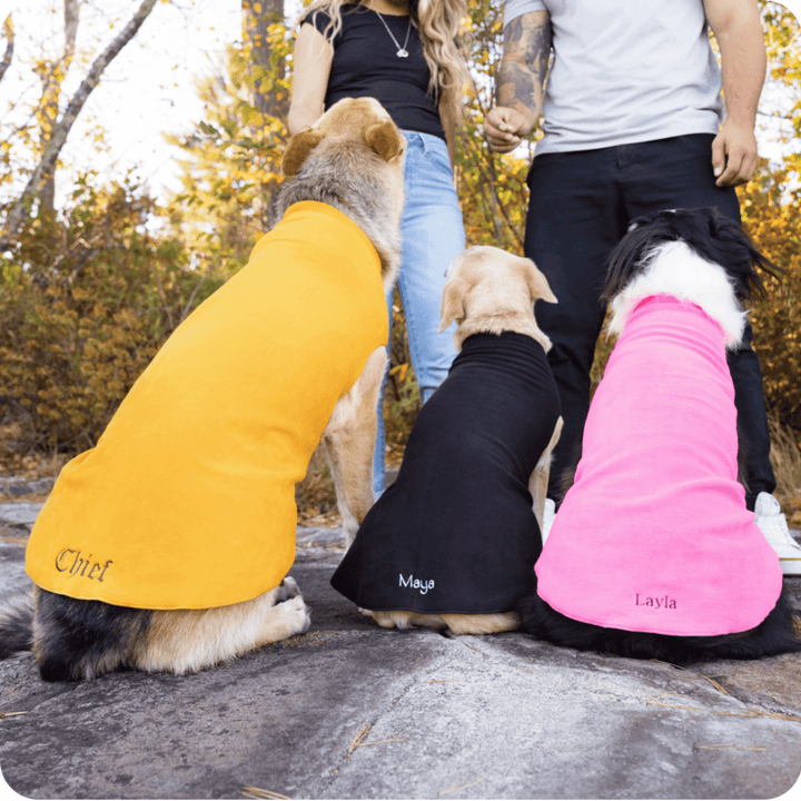 People stand outside with a group of dogs wearing stretch fleeces embroidered with their names