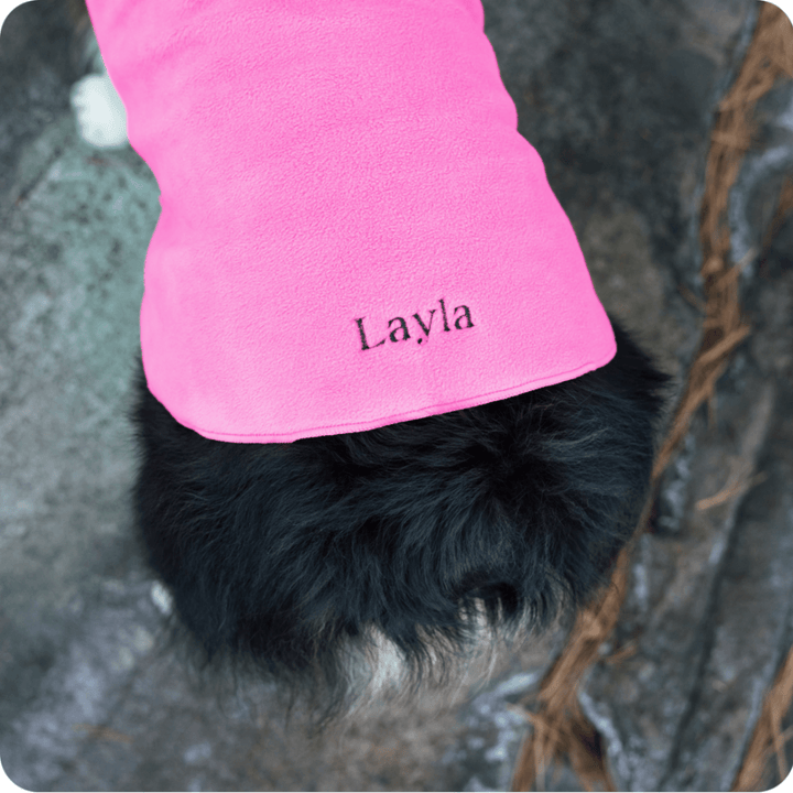A dog stands wearing a hot pink stretch fleece with 'Layla' embroidered on it