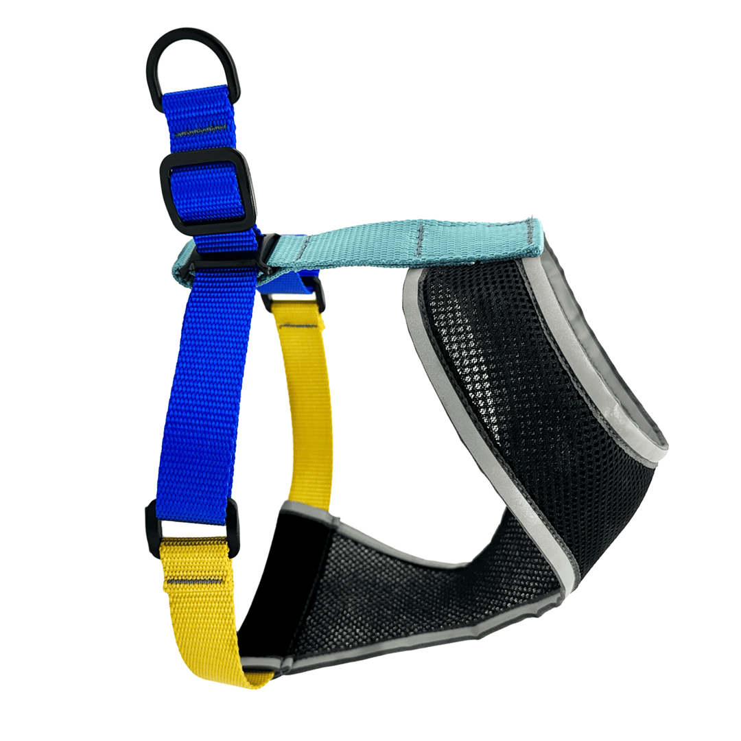 Dog harness with blue and yellow straps and a black body on a white background