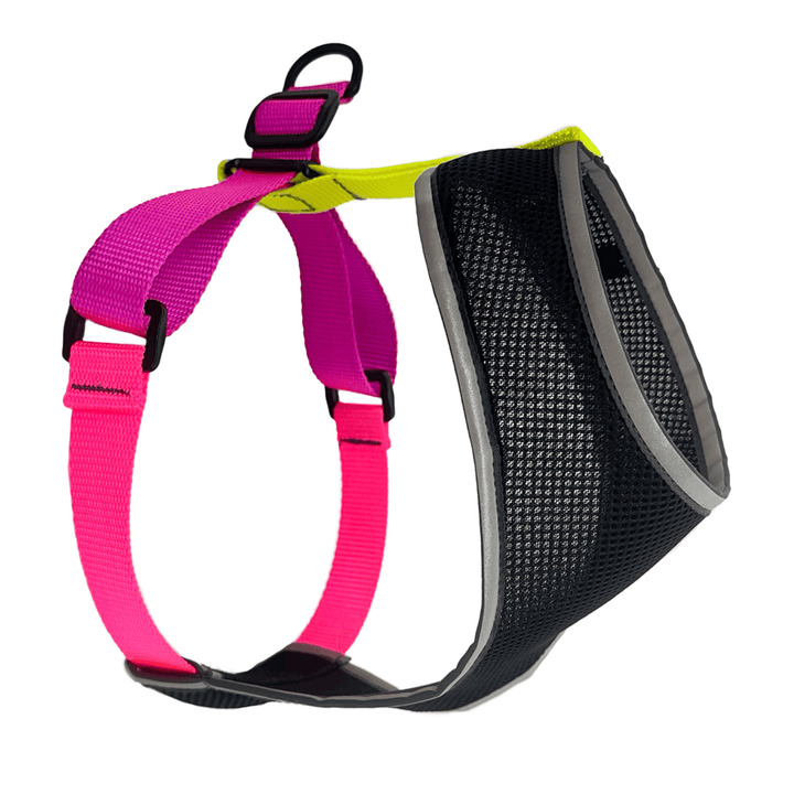 Dog harness with pink and yellow straps and a black body on a white background
