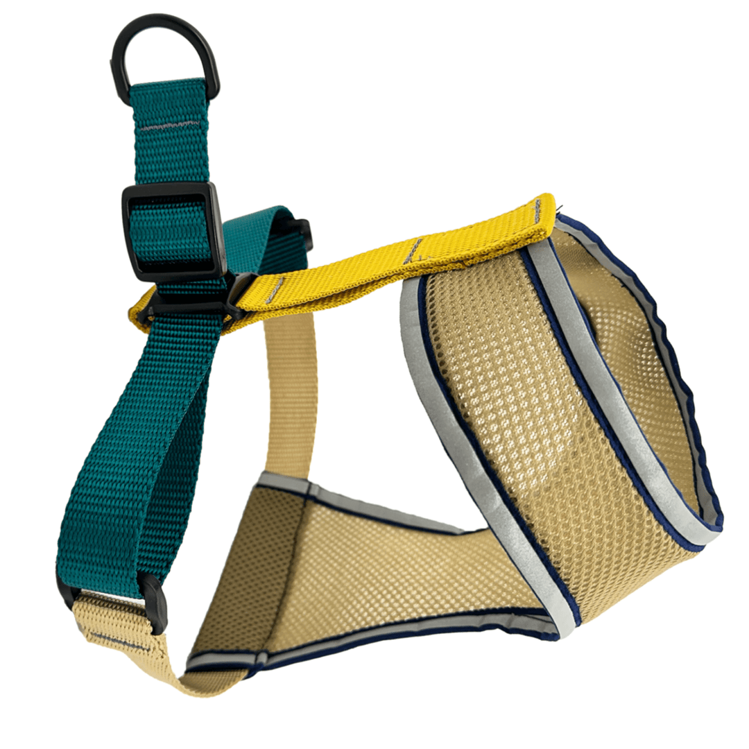 Dog harness with teal and yellow straps and a tan body on a white background