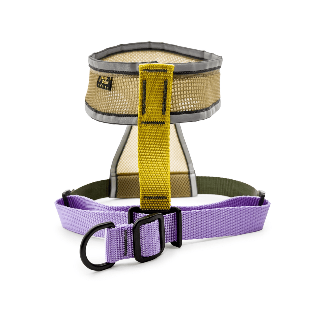 Featherweight Air Harness in colorway Vancouver back view on a white background
