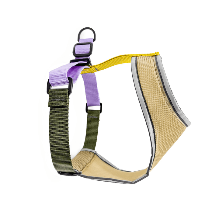 Featherweight Air Harness in colorway Vancouver side view on a white background