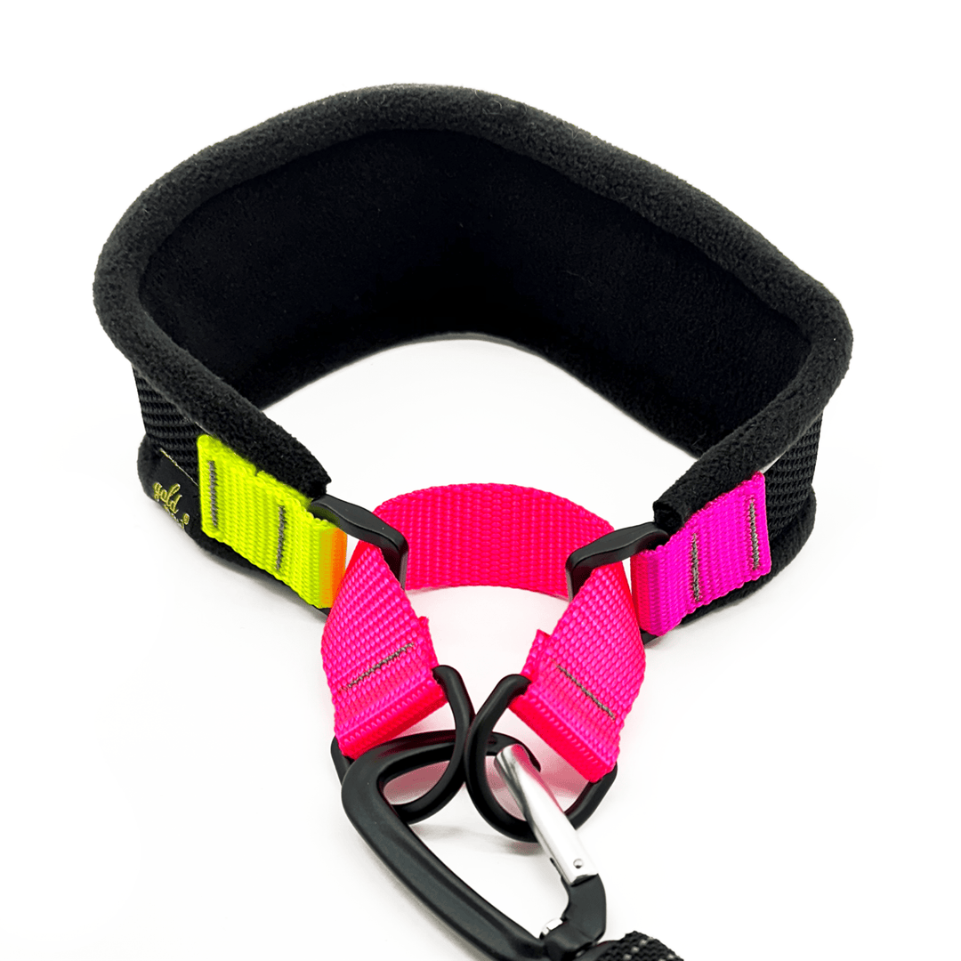 A black martingale hound collar with pink and yellow straps in front of a white background