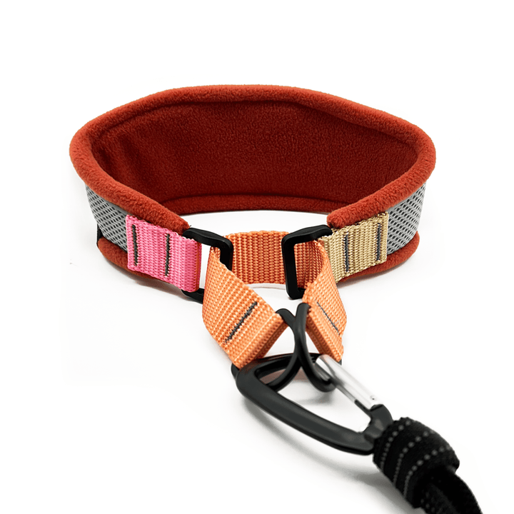 A grey and orange martingale hound collar with pink, orange, and tan straps in front of a white background