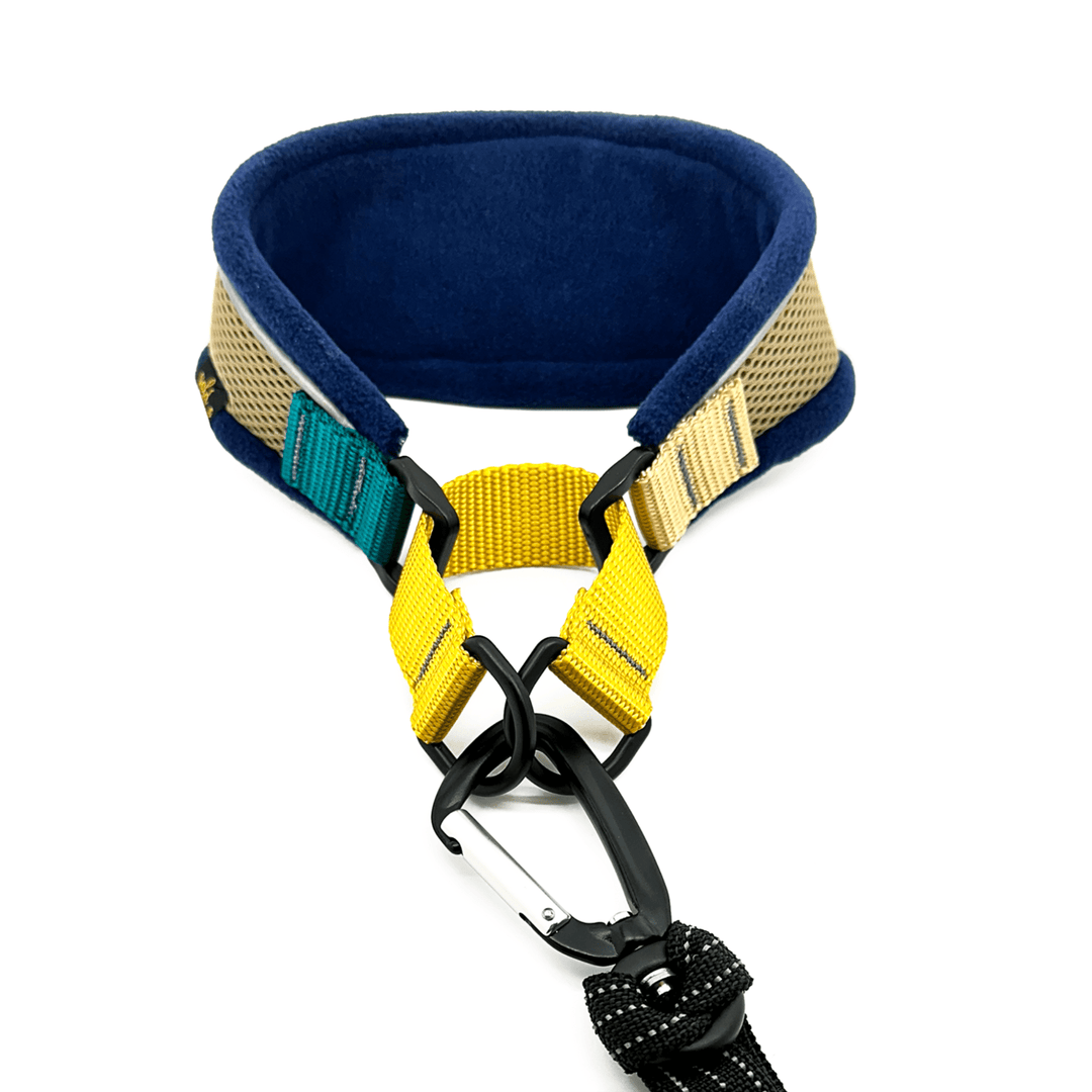 A Navy and tan martingale hound collar with teal and yellow straps on a white background