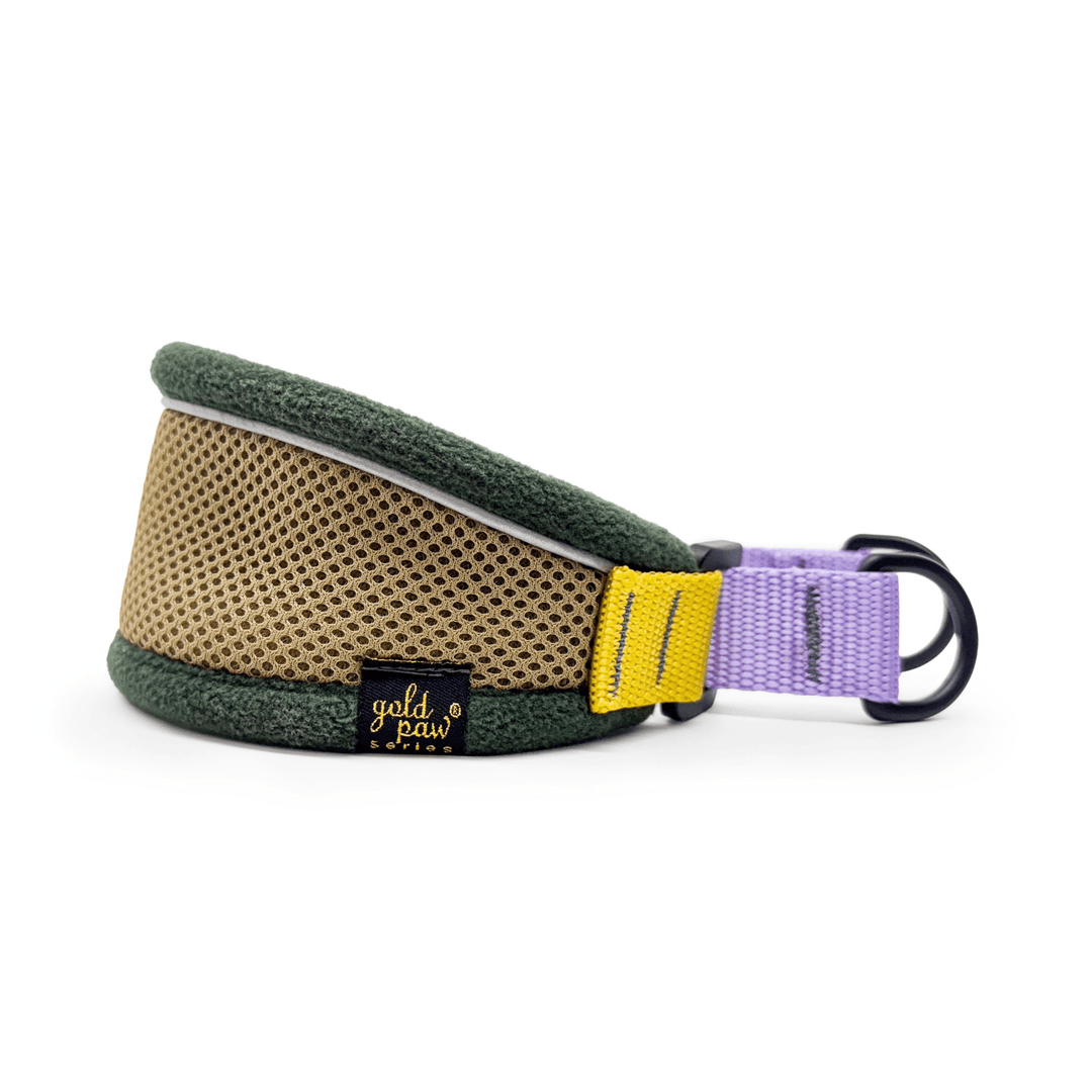 Featherweight Hound collar in Vancouver colorway on a white background