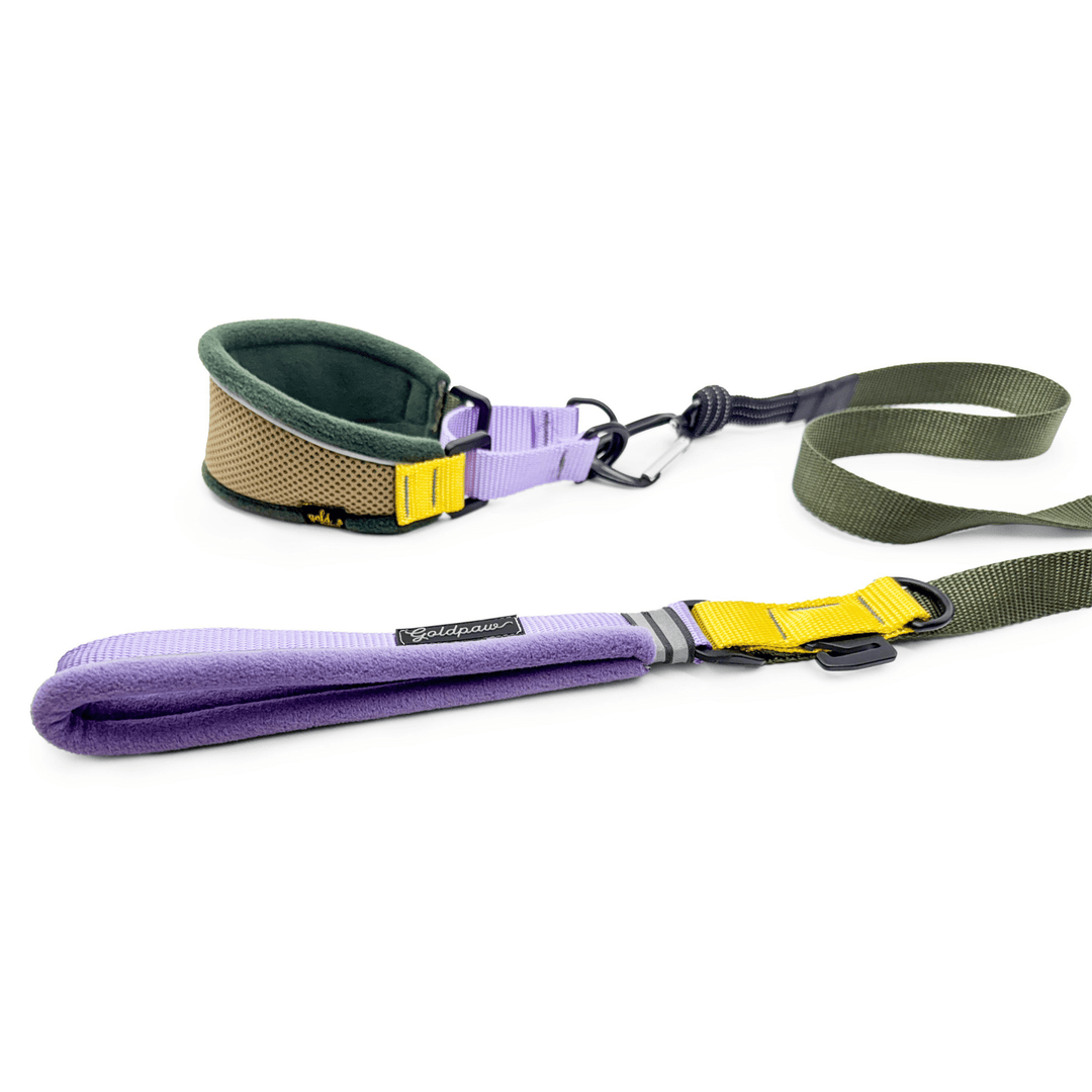 Featherweight Hound collar & matching leash in Vancouver colorway on a white background