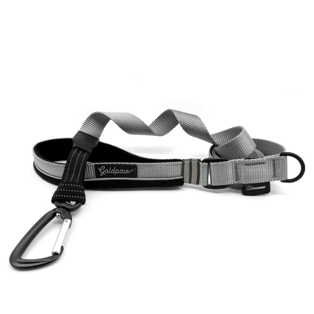 A Charcoal grey leash