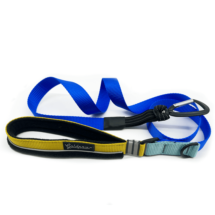 A Denver leash in cobalt and light blue  with a yellow handle in front of a white background