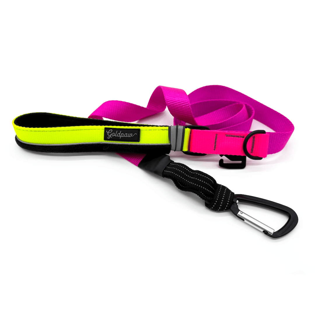 Pink dog leash with yellow handle and carabiner clasp