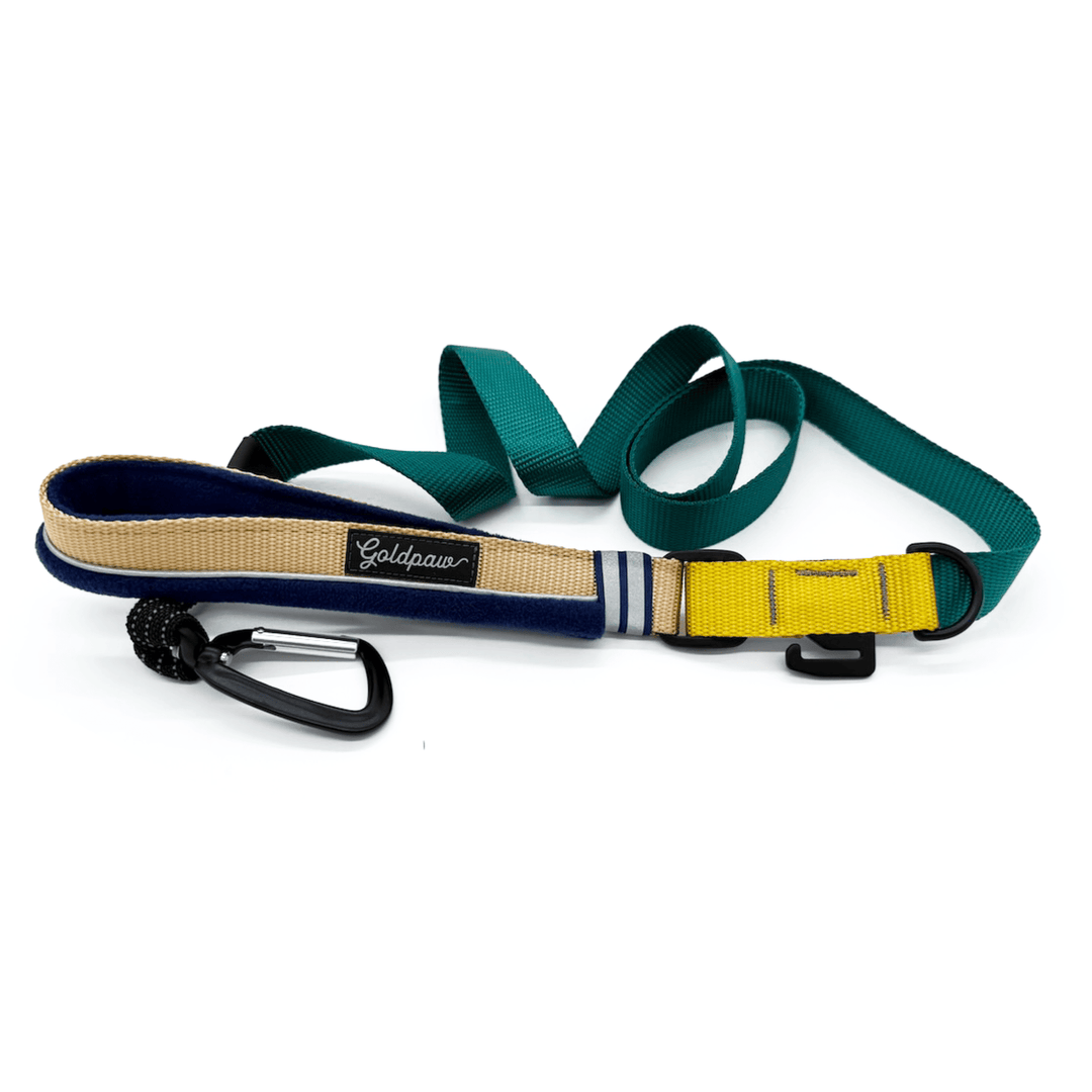 teal dog leash with tan handle and carabiner clasp