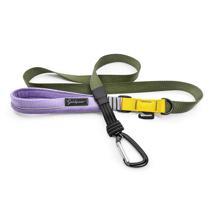 Featherweight Leash in Vancouver colorway on a white background