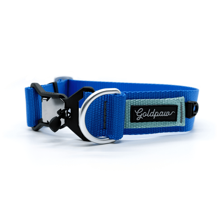 A cobalt blue and light blue Swiftlock Collar