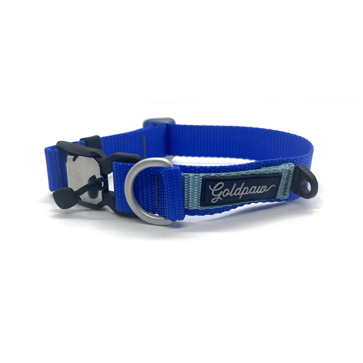 A cobalt blue and light blue Swiftlock Collar