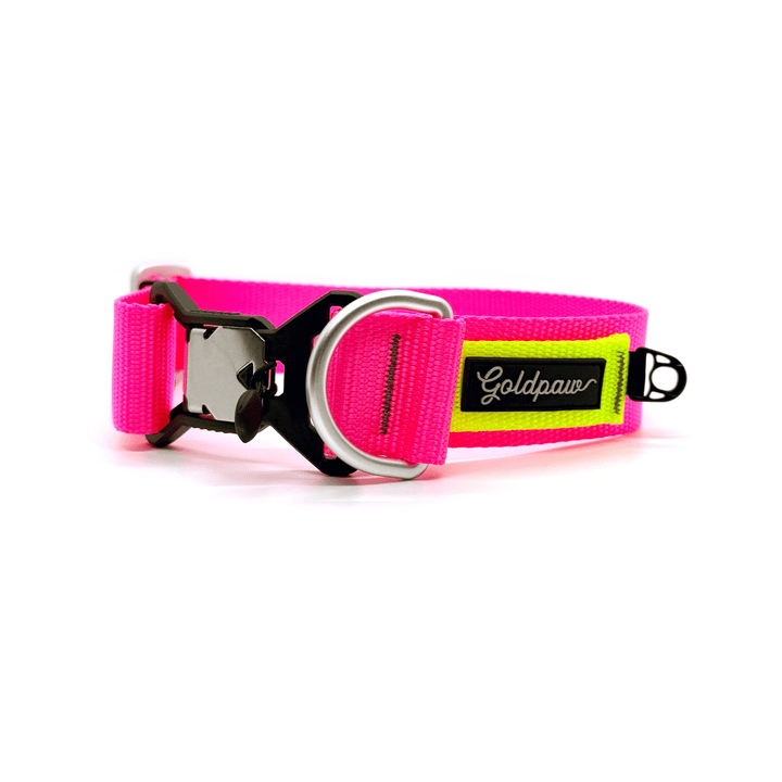 A hot pink and fluorescent yellow Swiftlock Collar