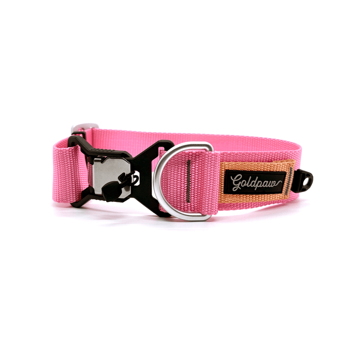 A pink and peach Swiftlock Collar