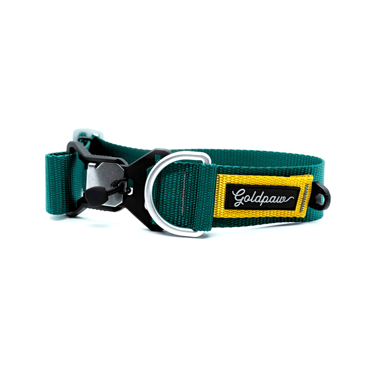 A teal and gold Swiftlock Collar