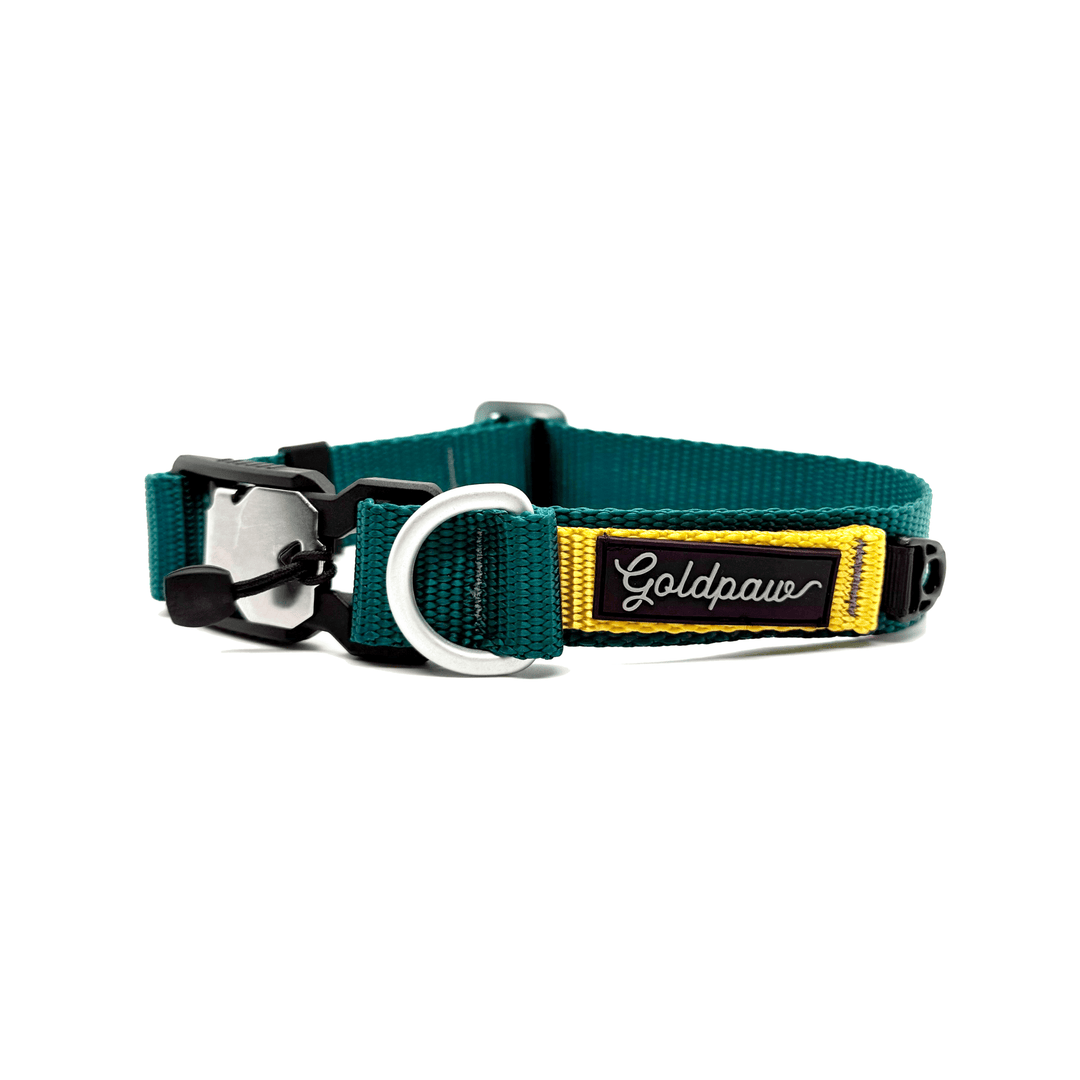 A teal and gold Swiftlock Collar