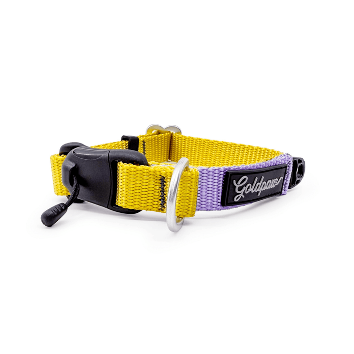 Swiftlock collar with purple and yellow webbing and silver hardware on a white background