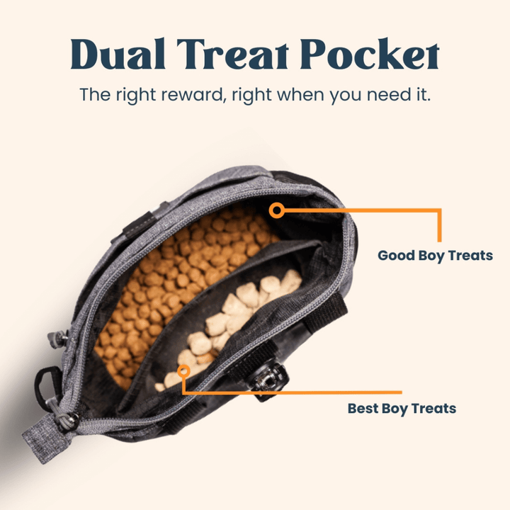 Focus Treat Pouch by Popper Pets